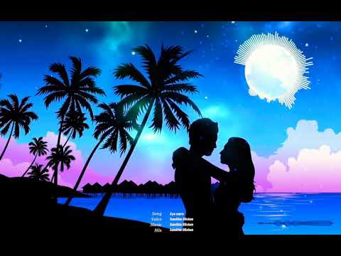 MR SDP - aye mere Sinhala mix(cover) feat.  samitha dilshan official lyrics video