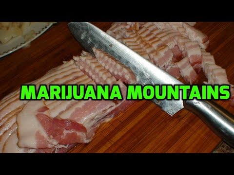 Mineral water springs from Bilbor Celtic village, Marijuana Mountains