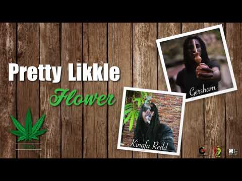 Gersham feat. Kingfaredd - Pretty Likkle Flower [Pretty Likkle FLower Riddim]