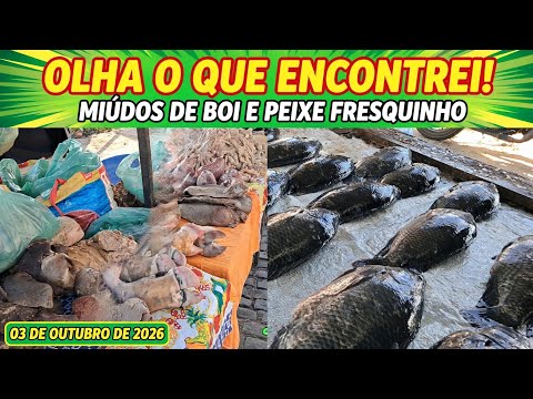 VOCÊ NÃO VAI ACREDITAR QUE ENCONTREI NA FEIRA DE ESTRELA DE ALAGOAS PEIXE FRESQUINHO E MIÚDOS DE BOI