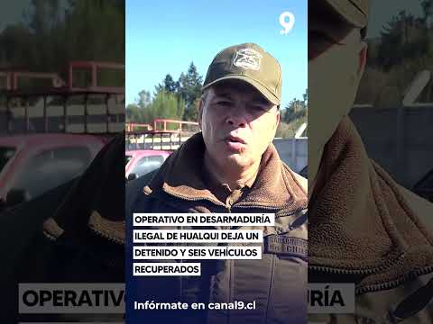 Operativo en desarmaduría ilegal de Hualqui deja un detenido y seis vehículos recuperados