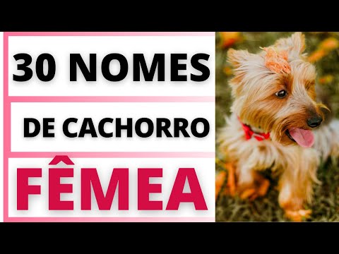 NOME PARA  CACHORRO FÊMEA OS MAIS BONITOS🐶💟😍