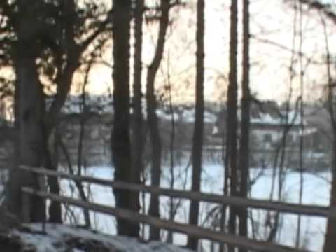 Thumbnail for video: Julia Mann Thumbnail for video: Julia Mann