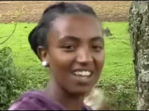 አስማማው በለው   ጣስካሲምባዋ አዊ Asmamaw Belew  Taskasimbao Awi