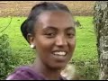 አስማማው በለው ጣስካሲምባዋ አዊ Asmamaw Belew Taskasimbao Awi