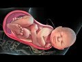 Poród pochwowy w 3D