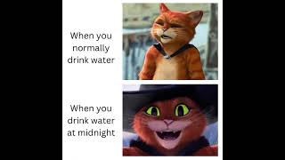 Puss In Boots Memes Part 6