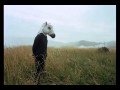 Sparklehorse - Maria's Little Elbows 