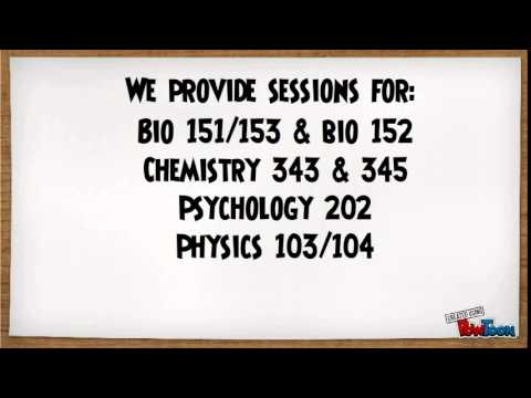 Peer Learning Association