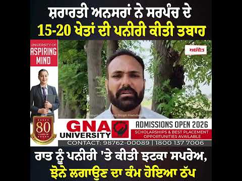 ਸ਼ਰਾਰਤੀ ਅਨਸਰਾਂ ਨੇ ਸਰਪੰਚ ਦੇ 21 ਖੇਤਾਂ ਦੀ ਪਨੀਰੀ ਕੀਤੀ ਤਬਾਹ