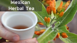 Try this Mexican Herbal Tea