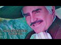VICENTE FERNÁNDEZ - AMORCITO CORAZÓN - TRIBUTO A PEDRO INFANTE