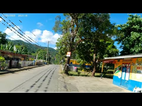 Great Pond Ocho Rios Jamaica! One of the best places to live in Jamaica!  🇯🇲