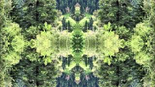 Element Over Nature - D-Generation (Cyberhead 12" Instrumental Mix)