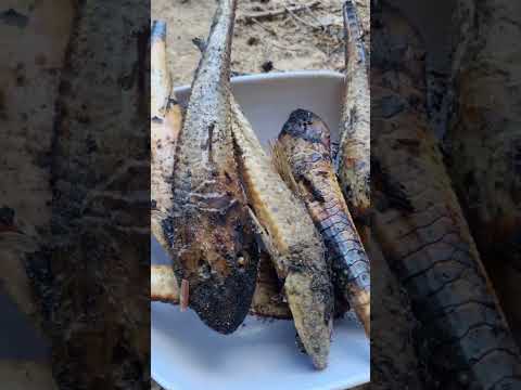 cozido de peixe aqui na Beira do Rio Maracaçumé #pescaria #interior #Maranhão