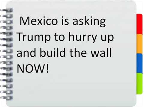 TOP-10 Best Coronavirus jokes