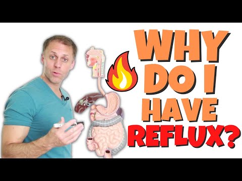 What’s Causing My Acid Reflux and GERD