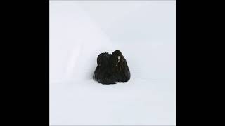 Chelsea Wolfe - Hiss Spun (FULL ALBUM)