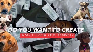TIPS: HOW TO START A SUCCESSFUL DOG BUSINESS | 8 EASY STEPS | ABKC & UKC American Bully Breed #dog