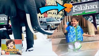 Kalahari Resorts America's Largest Inside Water Park/Marcelo water Park adventure/Huge Animals