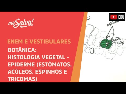Me Salva! BOT20 - Botânica - Histologia vegetal: epiderme (estômatos, acúleos, espinhos e tricomas).