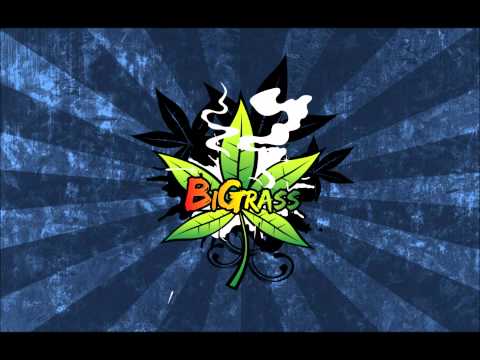 BiGrass - HaszIhuana (StiffmaisterSelektah remix)