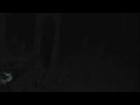 Scary Horror Flashlight