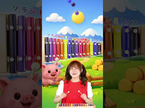 「こぶたぬきつねこ」でドレミを学ぼう！🎹🌈 #童謡 #キッズ #音楽教育 #shorts