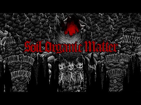 Wayward Dawn - Soil Organic Matter (Official Lyric Video)
