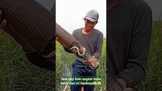 Download lagu BUBU BELUT YANG INI HASIL NYA LUARBIASA #belut #bububelut #lele mp3 Download lagu BUBU BELUT YANG INI HASIL NYA LUARBIASA #belut #bububelut #lele mp3