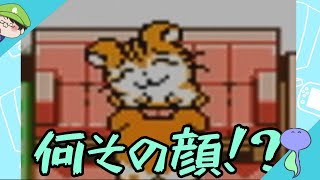 とっとこ集める！スター探し~おかめなトラハムちゃんを添えて~-とっとこハム太郎2 ハムちゃんず大集合でちゅ-