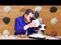 12 Types Of Rice Examined Under A Microscope And Cooked Bon Appétit