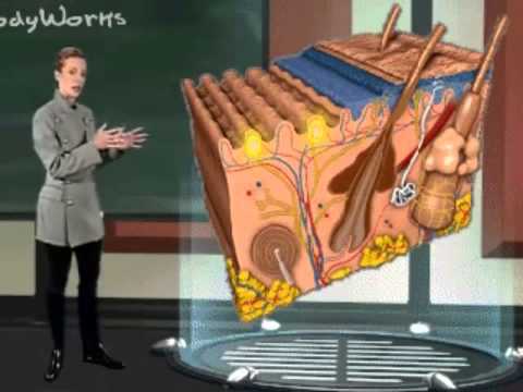 EL SENTIDO DEL TACTO 2013