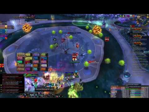Drive vs High Botanist Tel'arn Mythic