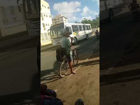 Teo vino de ilheus o melhor cantor da terra da gabrila kkkkkk