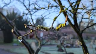 Quick video test sequence on the Surface Duo 2 with December 2021 firmware