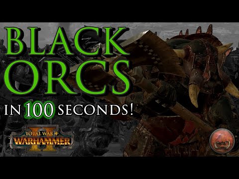 BLACK ORCS in 100 Seconds!