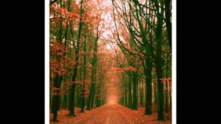 Richard Hawley - Light at the End of the Tunnel (Was a Train Coming the Other Way)