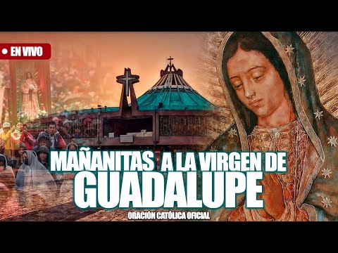 MAÑANITAS A LA VIRGEN DE GUADALUPE DESDE LA BASILICA DE NUESTRA SEÑORA DE GUADALUPE/12 DICIEMBRE2025