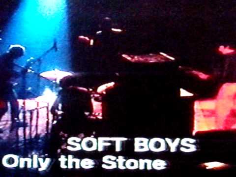 The Soft Boys - Only The Stones Remain. Rare footage!
