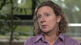 Benefits of active learning