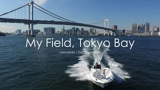My Field, Tokyo Bay