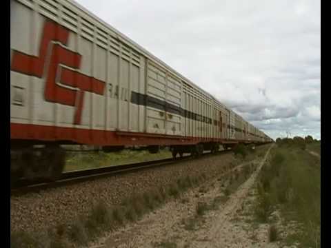 SCT  Freight Train,Travelling north away from Coonamia,Australia