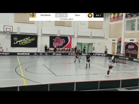 Blackbirds - Stars T12S