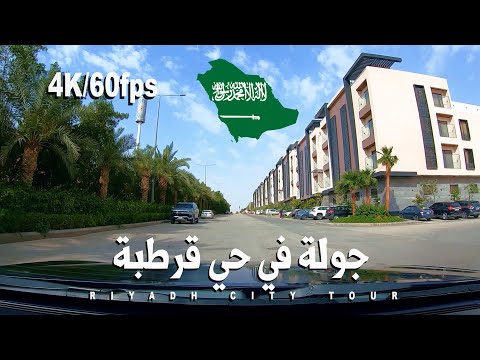 الفيديو