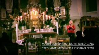 MARIA DURCH EIN DORNWALD GING  (Adventslied) - Cover von Stephanie Meissner