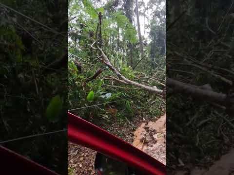 VEJA O ESTRAGO QUE A CHUVA FEZ NA ESTRADA DO TERTULIANO MORADORES SEM ENERGIA ATÉ AGORA