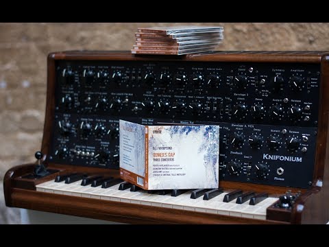 Knif Audio Knifonium Tube Mono Synthesizer 2016 image 18