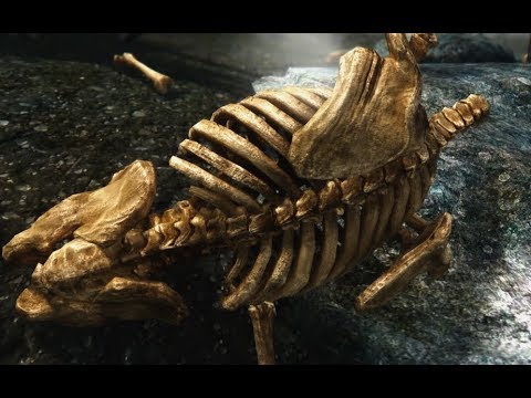 Can Your PC Run A Fully Modded 2019 Skyrim:SE? (1440p 60fps)