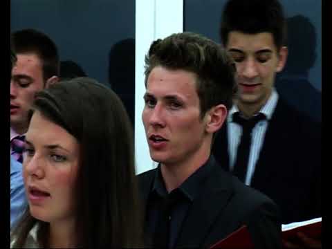 Amicus Timisoara - Strigati